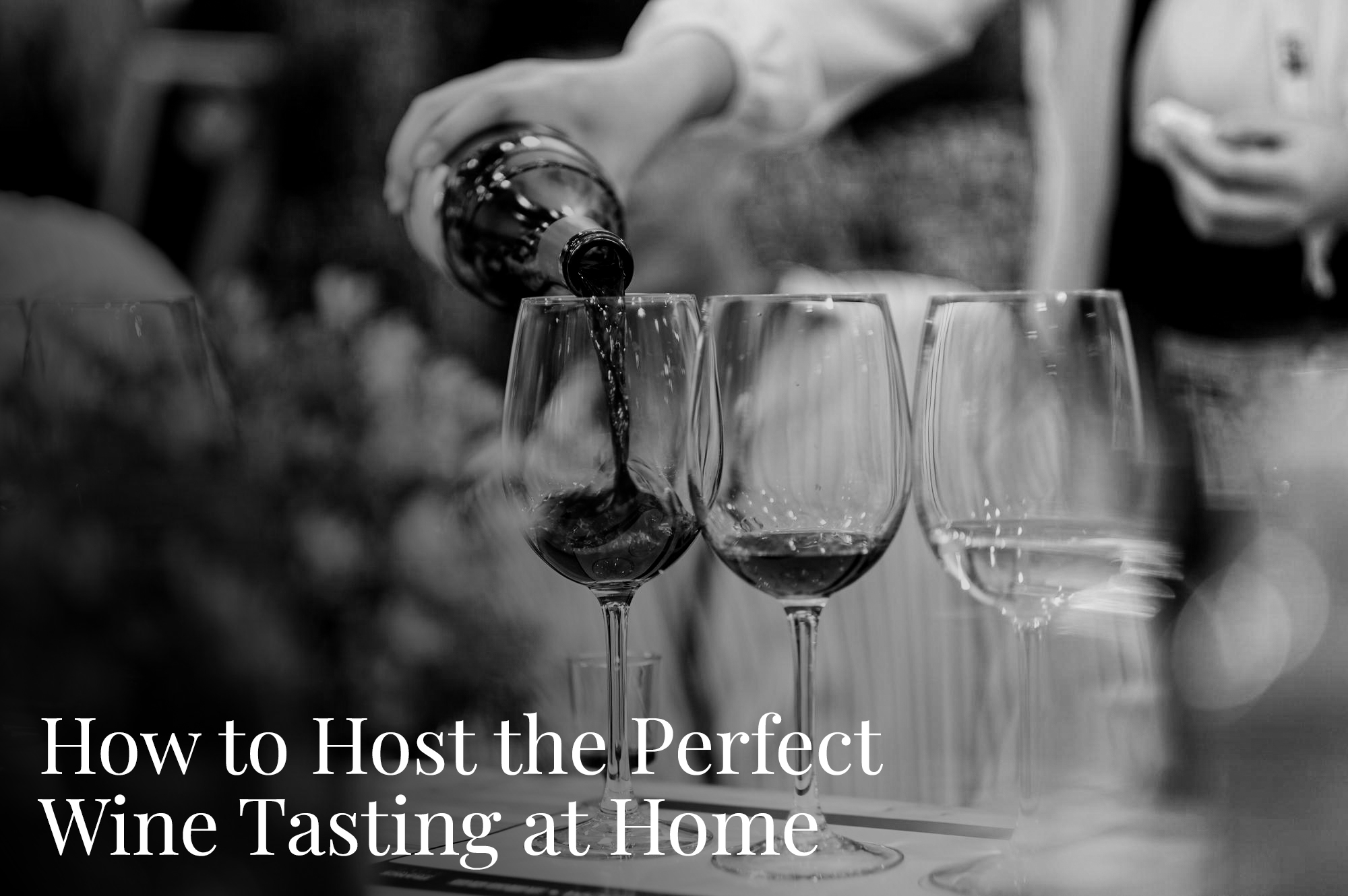 How to Host the Perfect Wine Tasting at Home (Easy Step-by-Step Guide)